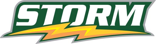 Sauk Rapids-Rice Storm logo