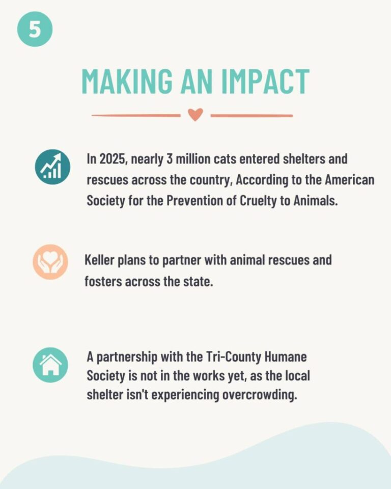 Making an impact: nearly 3 million cats entered shelters and rescues nationwide in 2025 according to the ASPCA. Keller plans to partner with rescues and fosters across the state.